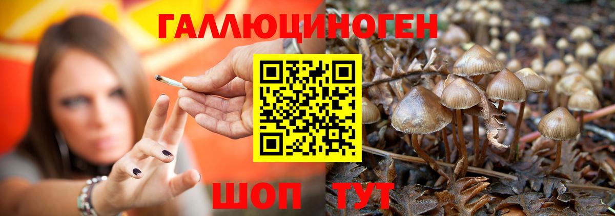 Псилоцибиновые грибы мицелий  Вход с VPN  Буйнакск 